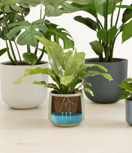 Load image into Gallery viewer, Earthy