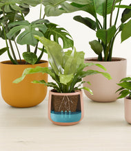 Load image into Gallery viewer, Evening Sky