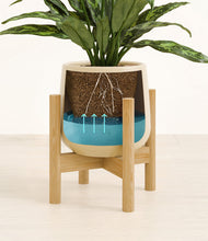 Load image into Gallery viewer, Almond Green stand:bamboo