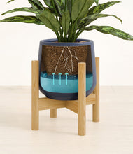 Load image into Gallery viewer, Deep Navy stand:bamboo