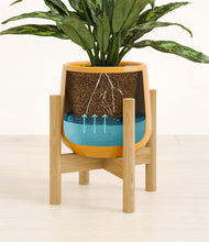 Load image into Gallery viewer, Mustard stand:bamboo
