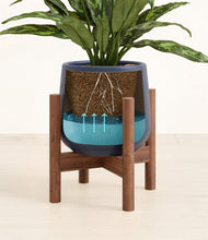 Load image into Gallery viewer, Deep Navy stand:walnut