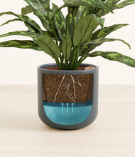 Load image into Gallery viewer, Iron Gray