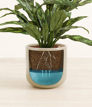 Load image into Gallery viewer, Sage Green