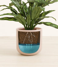 Load image into Gallery viewer, Sandy Pink