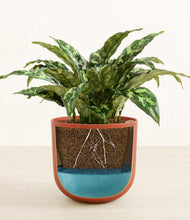 Load image into Gallery viewer, Earth Red