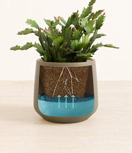 Load image into Gallery viewer, Olive