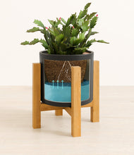 Load image into Gallery viewer, Black stand:light