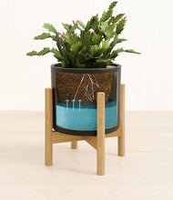 Load image into Gallery viewer, Black stand:bamboo