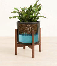 Load image into Gallery viewer, Black stand:walnut