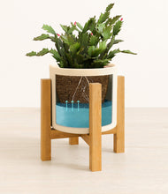 Load image into Gallery viewer, Cream stand:light