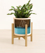 Load image into Gallery viewer, Cream stand:bamboo