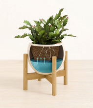 Load image into Gallery viewer, Shiny EggWhite stand:bamboo