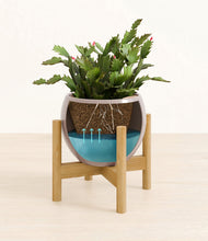 Load image into Gallery viewer, Winter Clouds stand:bamboo