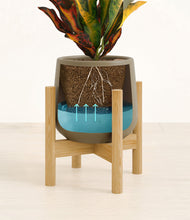 Load image into Gallery viewer, Olive stand:bamboo