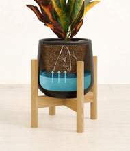 Load image into Gallery viewer, Black stand:bamboo