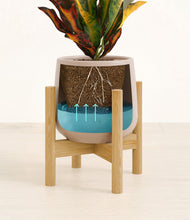 Load image into Gallery viewer, Eternal Gray stand:bamboo