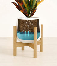 Load image into Gallery viewer, White stand:bamboo