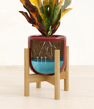 Load image into Gallery viewer, Striped Cherry Red stand:bamboo