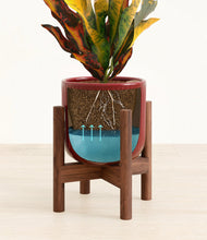 Load image into Gallery viewer, Striped Cherry Red stand:walnut