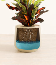 Load image into Gallery viewer, Almond Green