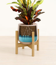 Load image into Gallery viewer, Eternal Gray stand:bamboo