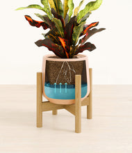 Load image into Gallery viewer, Gentle Pink stand:bamboo