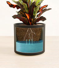 Load image into Gallery viewer, Black