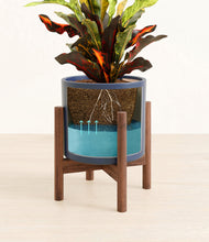 Load image into Gallery viewer, Deep Navy stand:walnut