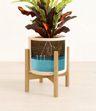 Load image into Gallery viewer, Cream stand:bamboo