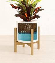 Load image into Gallery viewer, White stand:bamboo