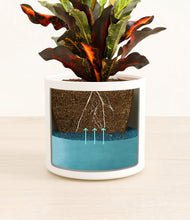 Load image into Gallery viewer, White