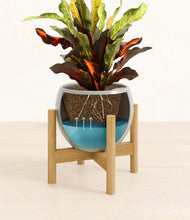 Load image into Gallery viewer, Deep Ocean stand:bamboo