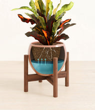 Load image into Gallery viewer, Calm Rose stand:walnut