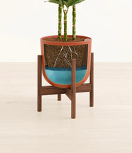 Load image into Gallery viewer, Earth Red stand:walnut