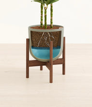 Load image into Gallery viewer, Sage Green stand:walnut