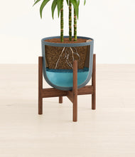 Load image into Gallery viewer, Iron Gray stand:walnut