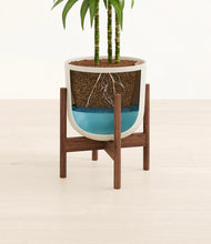 Load image into Gallery viewer, Natural Bamboo stand:walnut