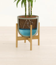 Load image into Gallery viewer, Sage Green stand:bamboo