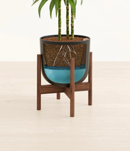 Load image into Gallery viewer, Stone Black stand:walnut