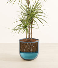 Load image into Gallery viewer, Iron Gray