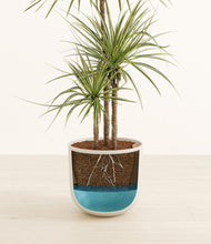 Load image into Gallery viewer, Natural Bamboo