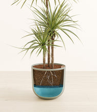 Load image into Gallery viewer, Sage Green