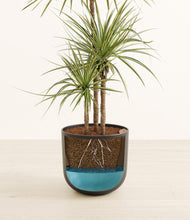 Load image into Gallery viewer, Stone Black