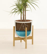 Load image into Gallery viewer, Natural Bamboo stand:bamboo
