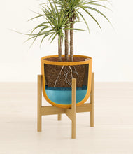 Load image into Gallery viewer, Sunset Orange stand:bamboo