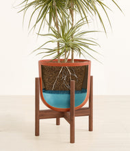 Load image into Gallery viewer, Earth Red stand:walnut