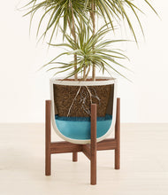 Load image into Gallery viewer, Natural Bamboo stand:walnut