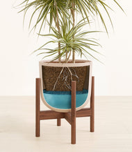 Load image into Gallery viewer, Sandy Pink stand:walnut