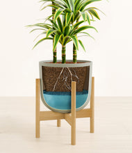 Load image into Gallery viewer, Sage Green stand:bamboo